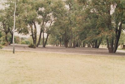 PHOTOGRAPH: 'CLIFF SADLIER RESERVE' 1988