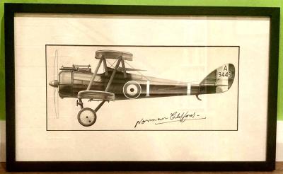 Norman Clifford profile drawing - Airco de Havilland DH.5, A9449