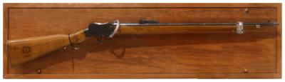 Pre 1914, .310 Martini Cadet Rifle, 1910