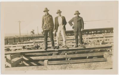 Katanning Sale Yards