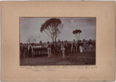 Seed Drill at Summerfield