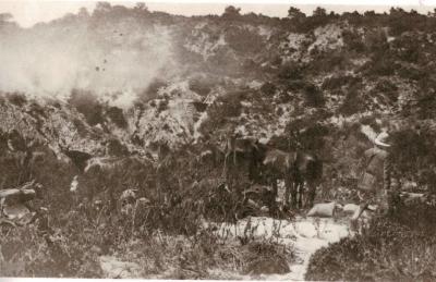 World War 1, Eastern Mediterranean, Gallipoli, Helles, 1915