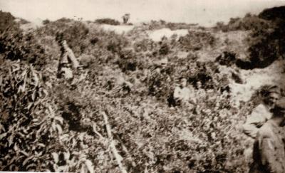 World War 1, Eastern Mediterranean, Gallipoli, Anzac, Bolton's Ridge, 1915