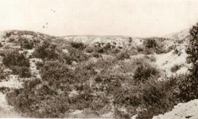 World War 1, Eastern Mediterranean, Gallipoli, Anzac, Walker's Ridge, 1915