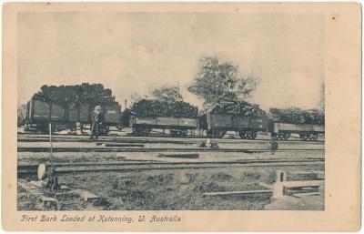 First Bark Loaded at Katanning, W. Australia