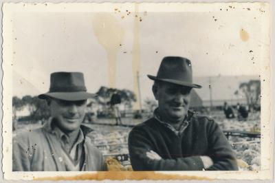 Katanning Sale Yards