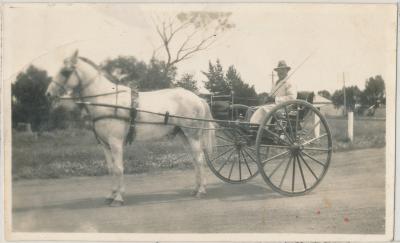 Alf Pamment with his horse 'Woolwich Boy'