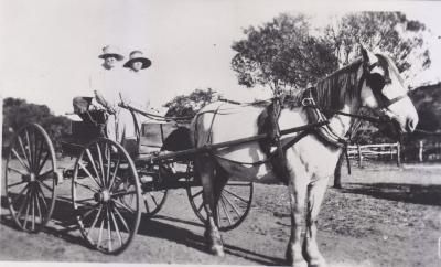 B/W photograph Horse and Buggy