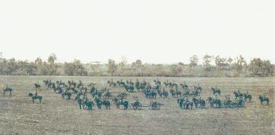 World War 1, Western Australia, Upper Swan, Belhuis, 8 Battery AIF, 1914