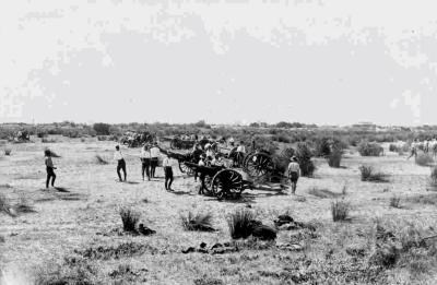 Inter War, Western Australia, 3 Field Artillery Brigade, 1924