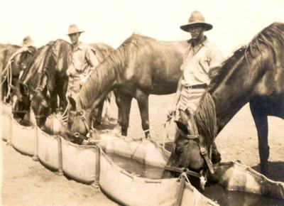 Inter War, Western Australia, Northam, 3 Field Artillery Brigade, 1936