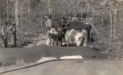 World War 2, Australia, Queensland, Atherton Tablelands, 2/7 Field Regiment, 1944