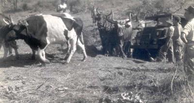 World War 2, Australia, Queensland, Atherton Tablelands, 2/7 Field Regiment, 1944