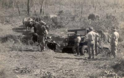 World War 2, Australia, Queensland, Atherton Tablelands, 2/7 Field Regiment, 1944