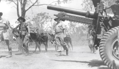 World War 2, Australia, Queensland, Kairi, 2/7 Field Regiment, 1943