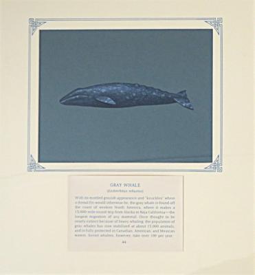 PAINTING - GRAY WHALE