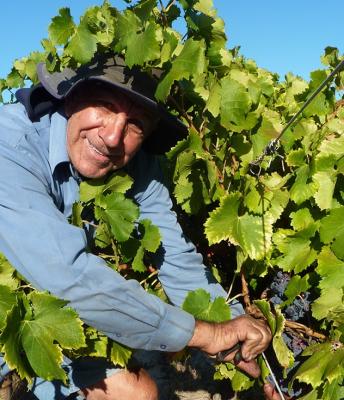 Last Vintage Faranda Winery 2013 - Living History video