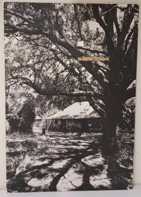 Photographs - Seymour Cottage