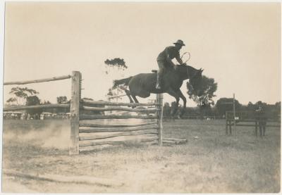 Horse Jumping