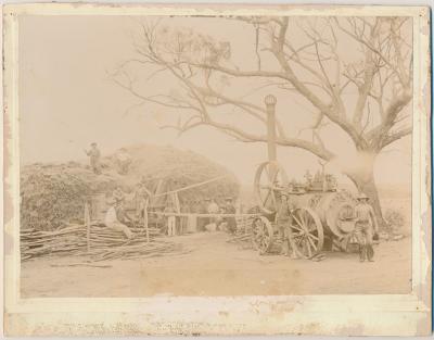 Pat Garrity's Chaff Cutting Plant on the farm Coompatine