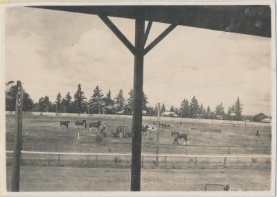 Katanning Show