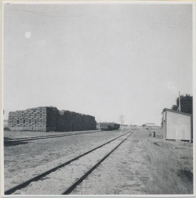 Coyrecup siding - Wheat Stacks