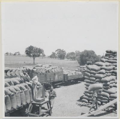 Coyrecup Siding- Unloading Wheat