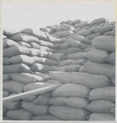 Coyrecup Siding - Stacking Wheat