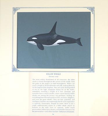 PAINTING - KILLER WHALE
