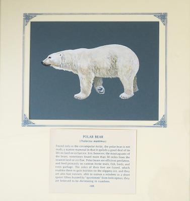 PAINTING  - POLAR BEAR
