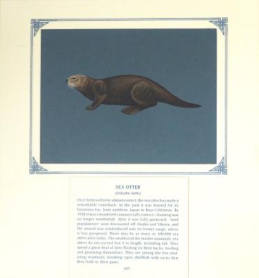 PAINTING  - SEA OTTER
