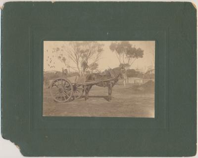 Tom Haddleton with Horse and Dray