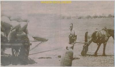 Wagon Bagloader