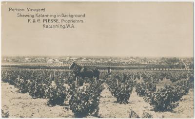 Portion Vineyard