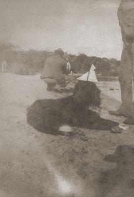 Max The Dog, Freshwater Bay