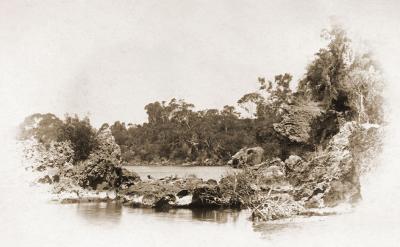 Blackwall Reach, Swan River