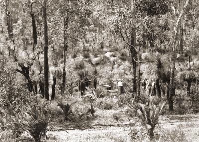 Greenmount