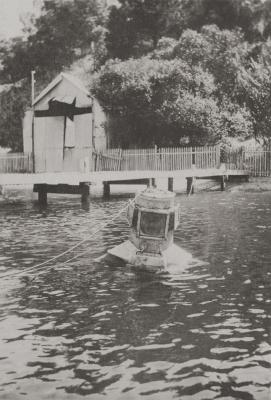 Man Diving In The River