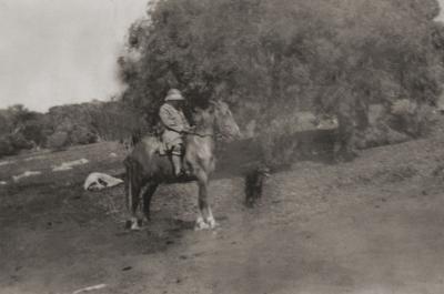 Person On A Horse