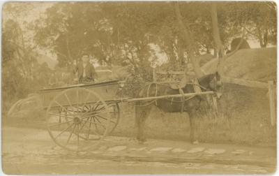 Black and White Photographic Postcard of Bread Delivery Cart
