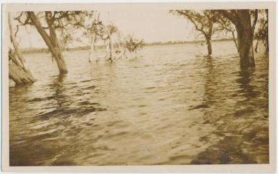 Beaufort River in Flood