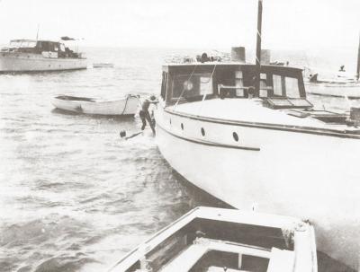 'Peter Pan'