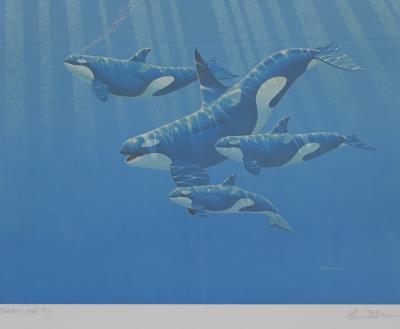 PRINT - KILLER WHALES Publisher Proof 8/20