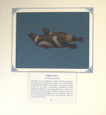 PAINTING - RIBBON SEAL