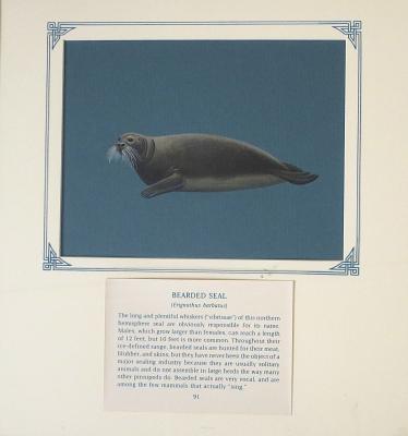 PAINTING -BEARDED SEAL