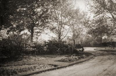 Knutsford Driveway And Garden