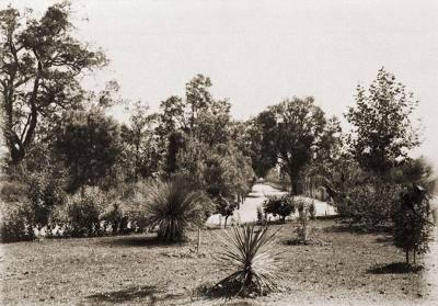 'Knutsford' Driveway And Garden