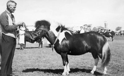 Jack Williams And Pony, Claremont Showgrounds