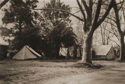 Tents In The 'Knutsford' Grounds