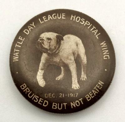'Wattle Day League Hospital Wing' fundraising badge 1917 - large size